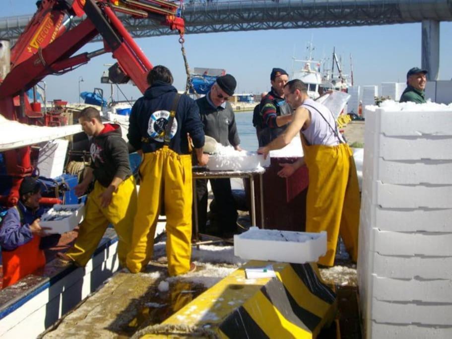 Casa Di Pipo - Appartamento Davanti Al Mare Pescara Dış mekan fotoğraf